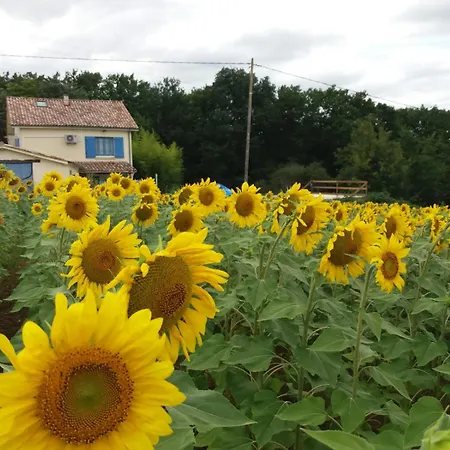 Luxe Vakantievilla Bois De La Borde In Lot Et Garonne Villa